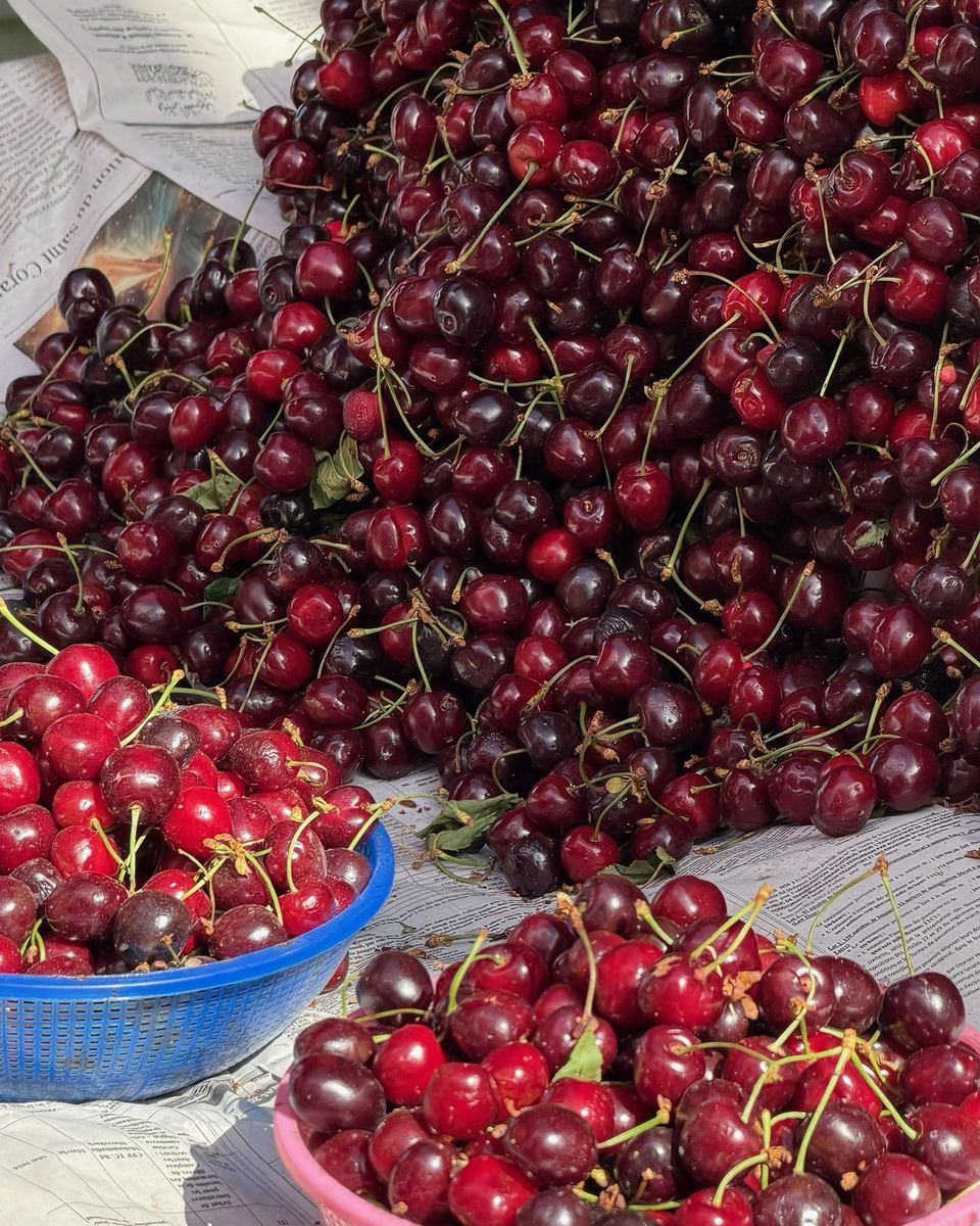 Fresh cherries piled high at a market stall